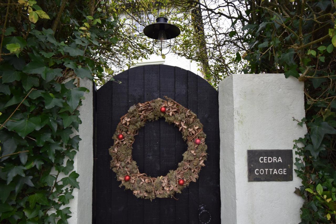 Cedra Cottage - Vintage Country Hideaway Axminster Zewnętrze zdjęcie