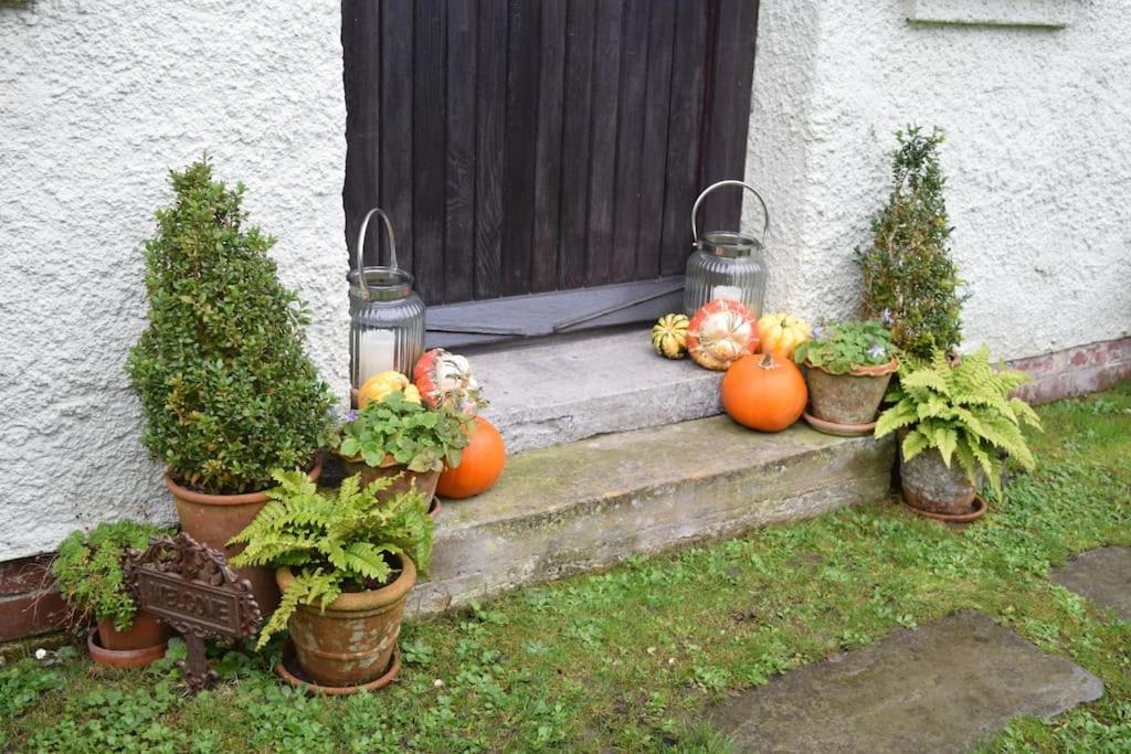 Cedra Cottage - Vintage Country Hideaway Axminster Zewnętrze zdjęcie